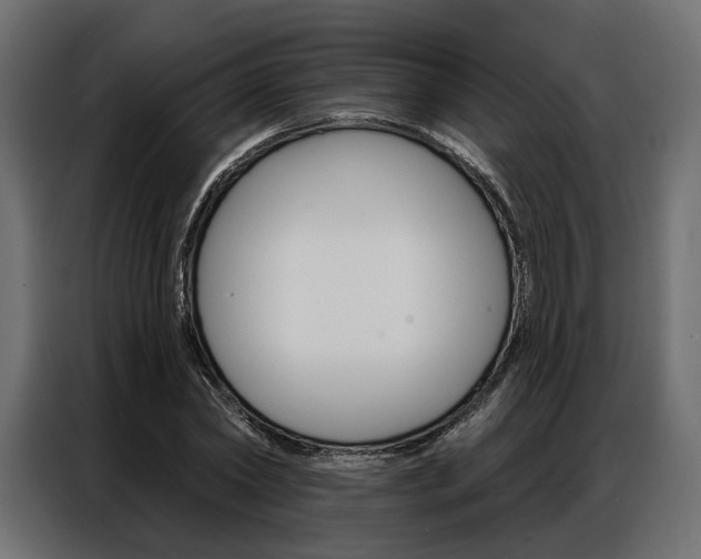X0000086900782200704160946