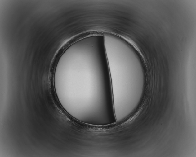 X0000086900783200704160946