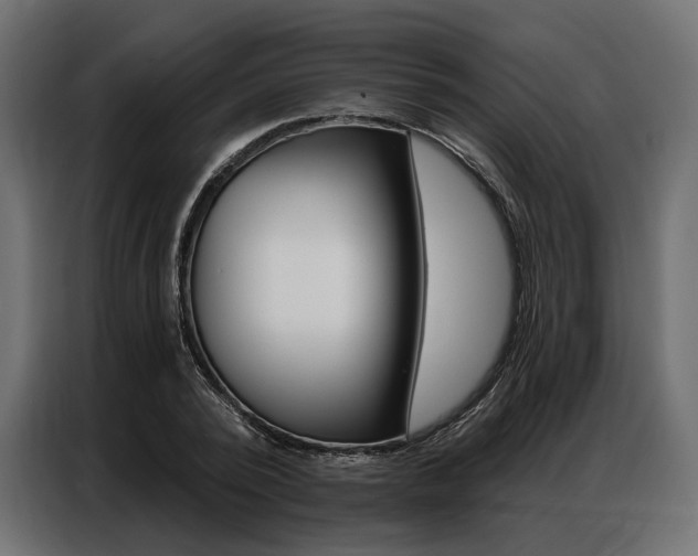 X0000086900784200704160946
