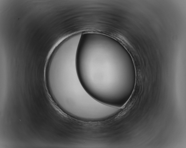 X0000086900788200704160946