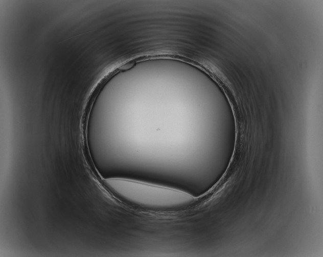 X0000086900789200704160946