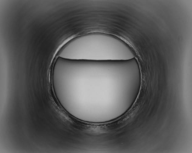 X0000086900790200704160946