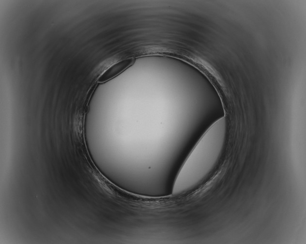 X0000086900793200704160946