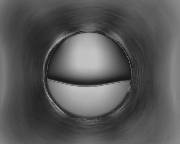 X0000086900795200704160946
