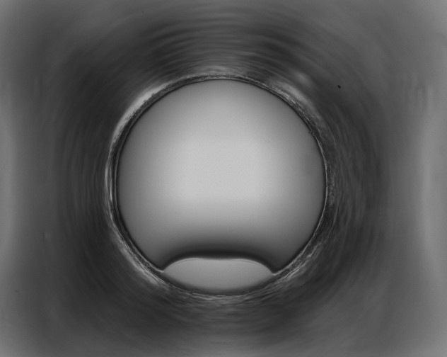 X0000086900796200704160946