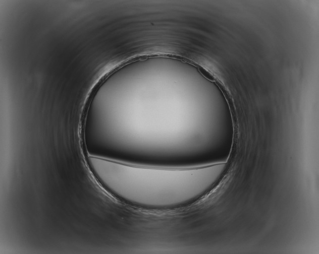 X0000086900797200704160946