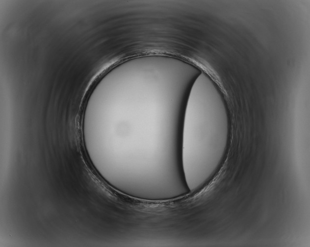 X0000086900798200704160946