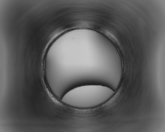X0000086900800200704160946