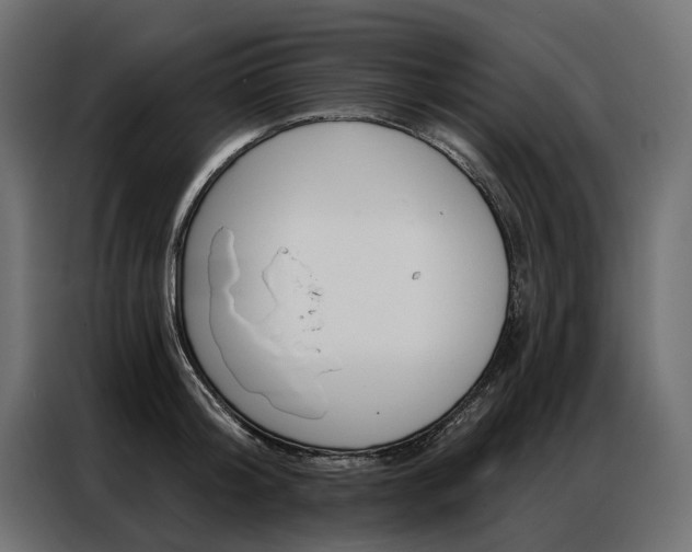 X0000086900804200704160945