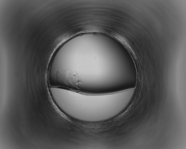 X0000086900805200704160945