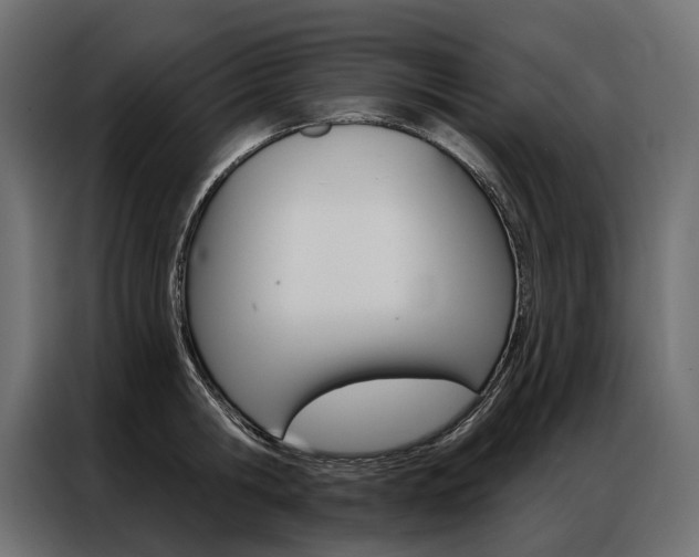 X0000086900806200704160945