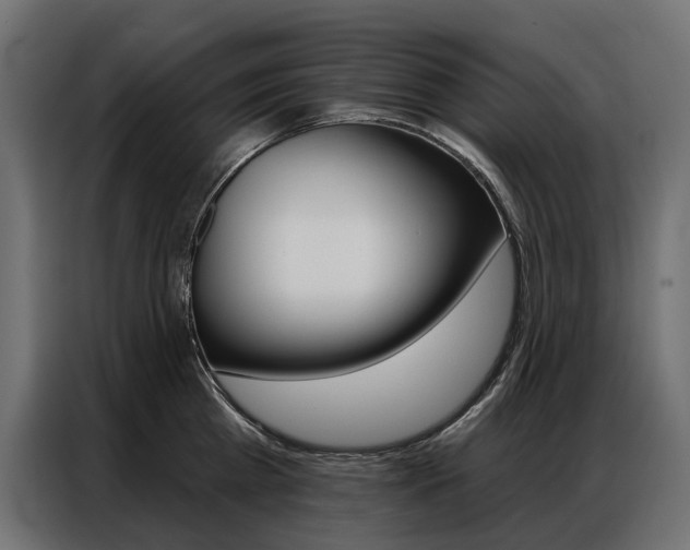 X0000086900809200704160945