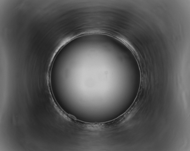 X0000086900813200704160945