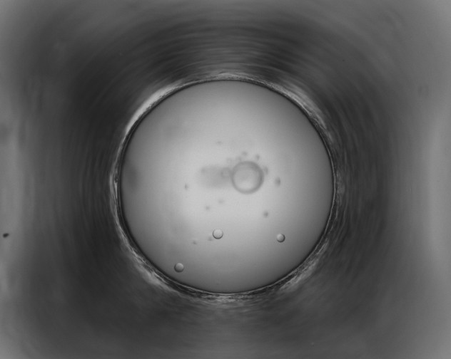 X0000086900814200704160945