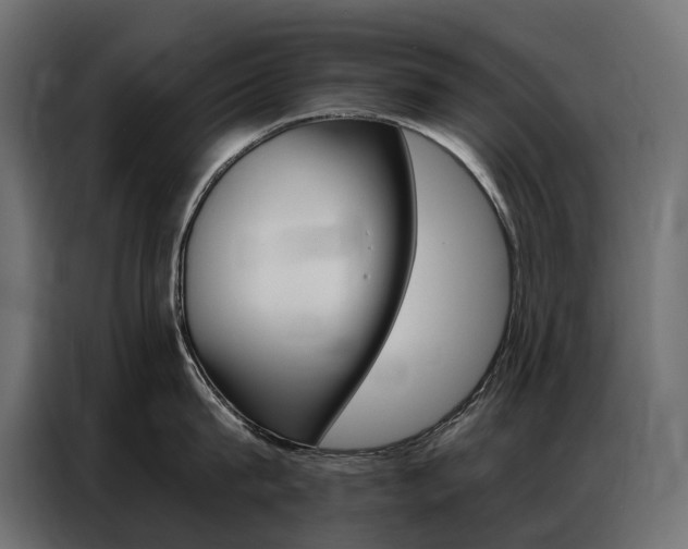 X0000086900815200704160945