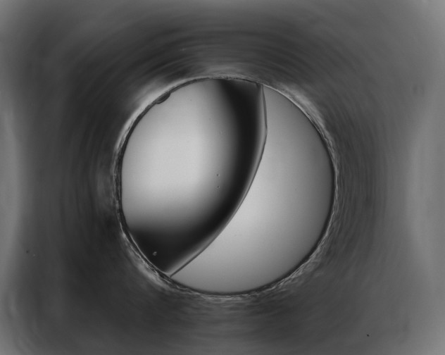 X0000086900816200704160945
