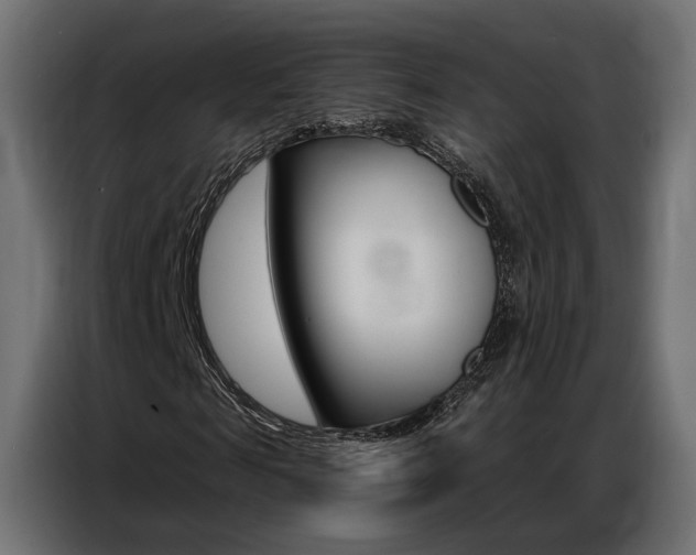 X0000086900817200704160945