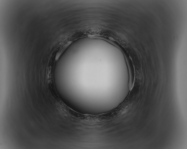 X0000086900818200704160945