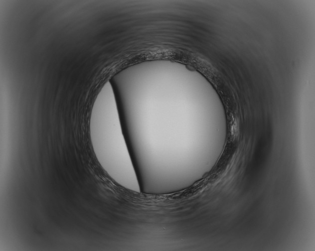 X0000086900819200704160945