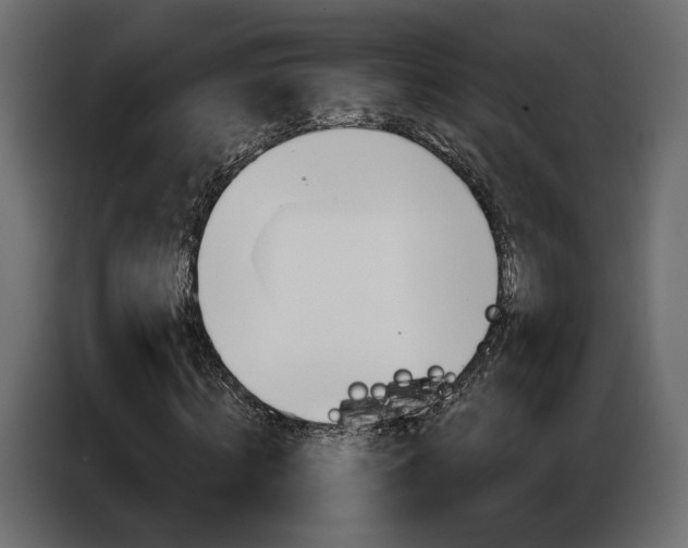 X0000086900820200704160945