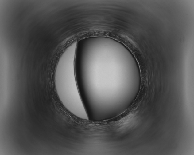 X0000086900821200704160945