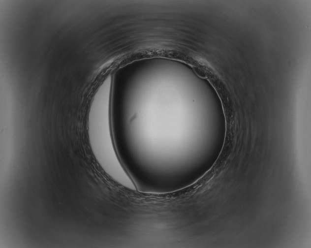 X0000086900822200704160945