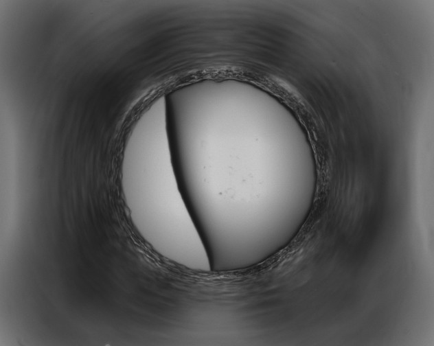 X0000086900823200704160945