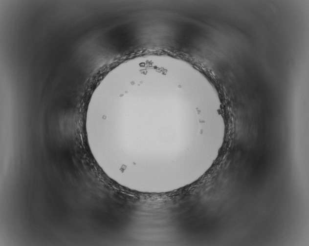 X0000086900824200704160945