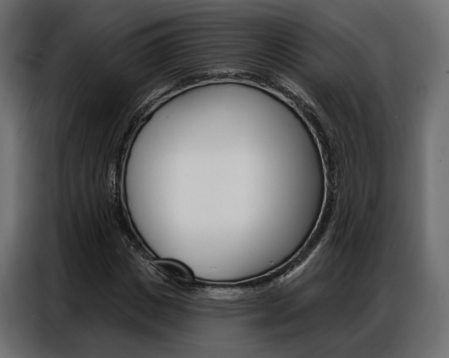 X0000086900825200704160945