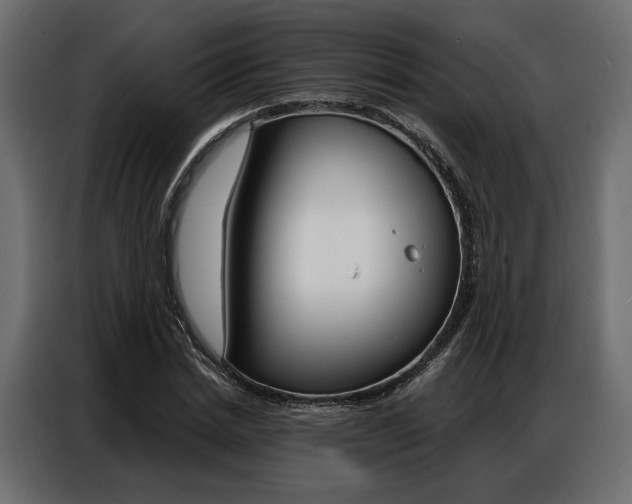 X0000086900830200704160945