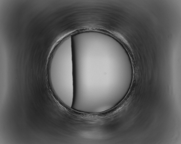 X0000086900831200704160945