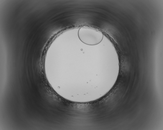 X0000086900832200704160945