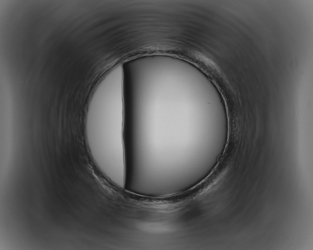 X0000086900833200704160945