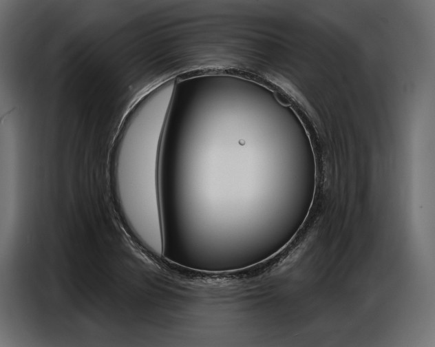 X0000086900834200704160945