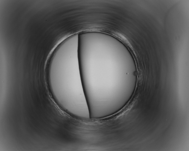 X0000086900835200704160945