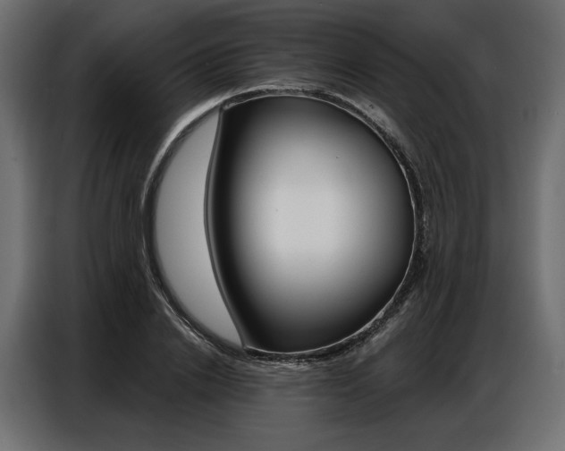 X0000086900838200704160945