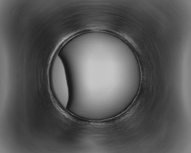 X0000086900840200704160945