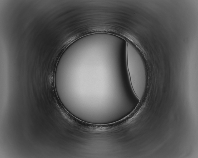 X0000086900841200704160945