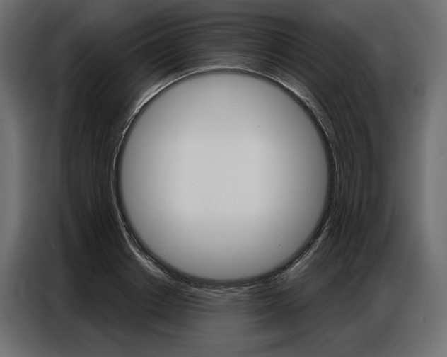 X0000086900842200704160945