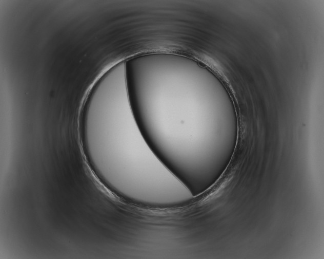 X0000086900843200704160945