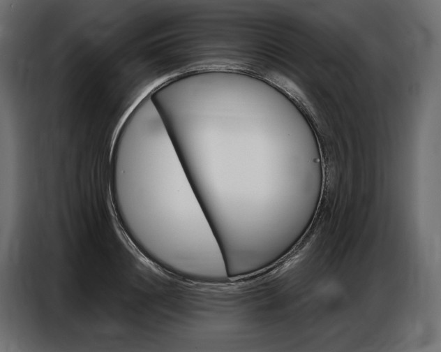 X0000086900844200704160945