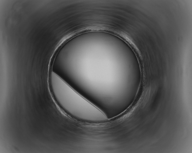 X0000086900845200704160945