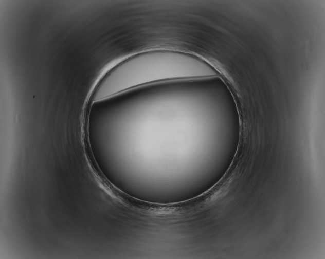 X0000086900846200704160945