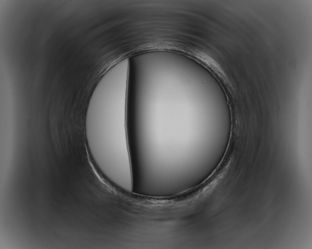 X0000086900849200704160945