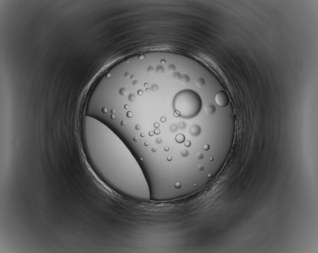 X0000086900851200704160945