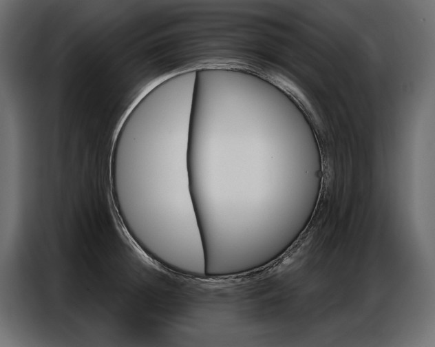 X0000086900852200704160945