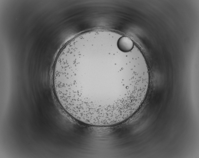 X0000086900856200704160945
