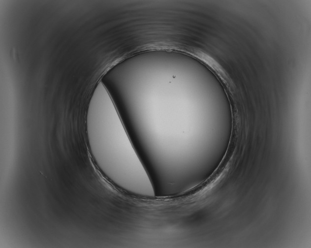 X0000086900857200704160945