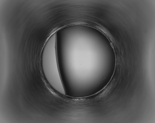 X0000086900858200704160945