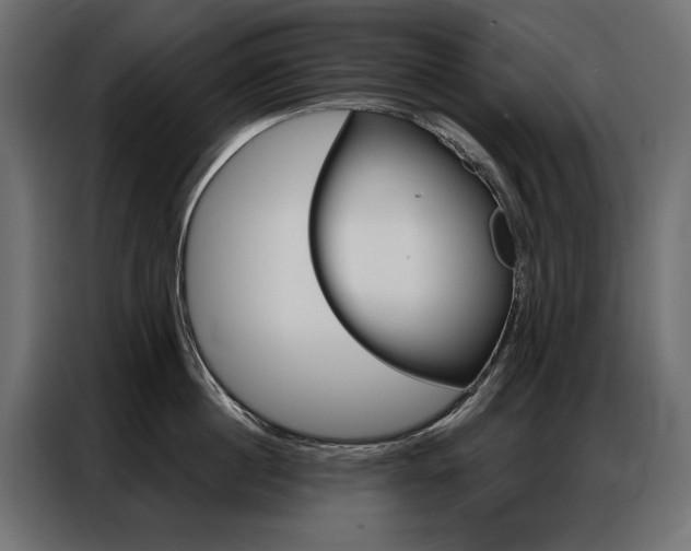 X0000086900860200704160945
